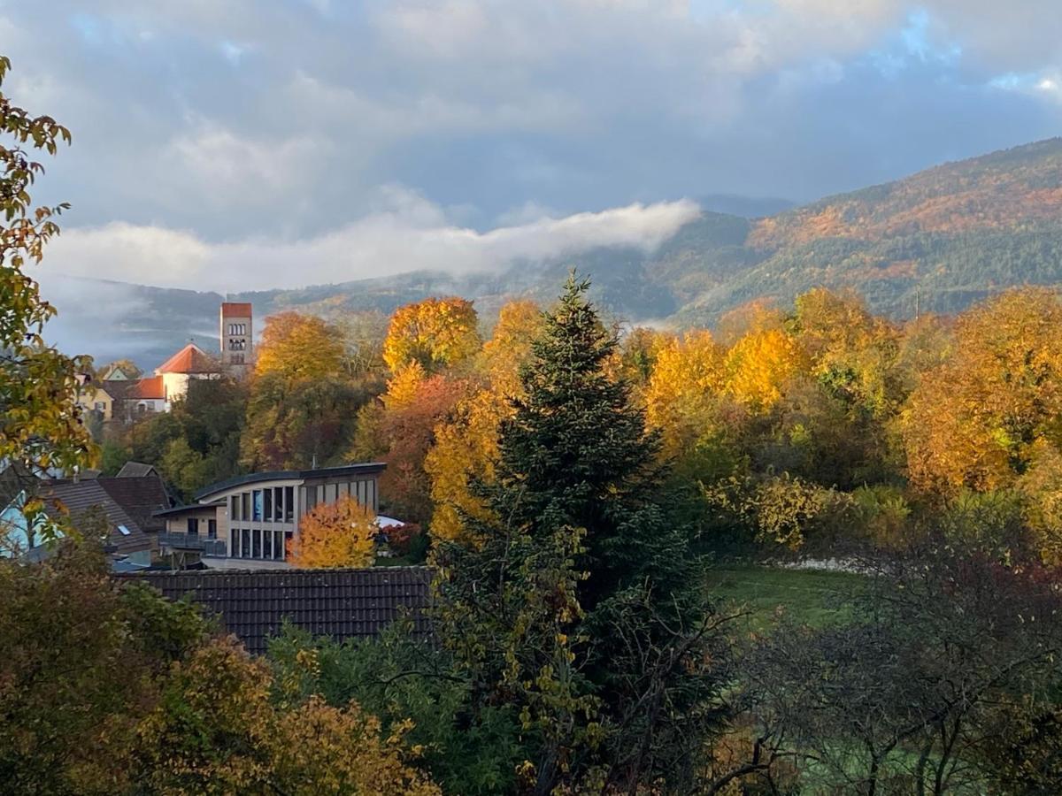 Le Moonloft insolite Tiny-House dans les arbres&1 séance de sauna pour 2 avec vue panoramique Osenbach Extérieur photo