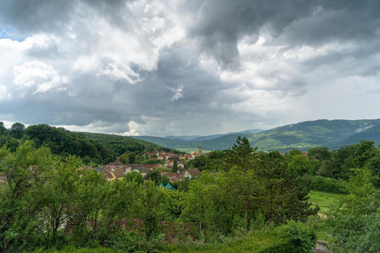Le Moonloft insolite Tiny-House dans les arbres&1 séance de sauna pour 2 avec vue panoramique Osenbach Extérieur photo